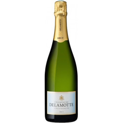 Champagne Delamotte - Brut