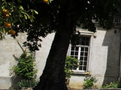 Château Baret, un vignoble Intramuros